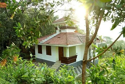 Misty Valley Resorts  Munnar